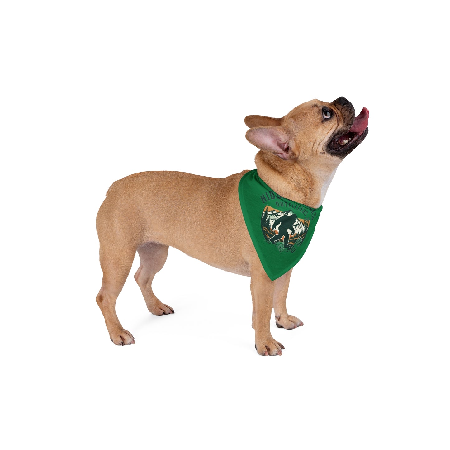 Green Pet Bandana