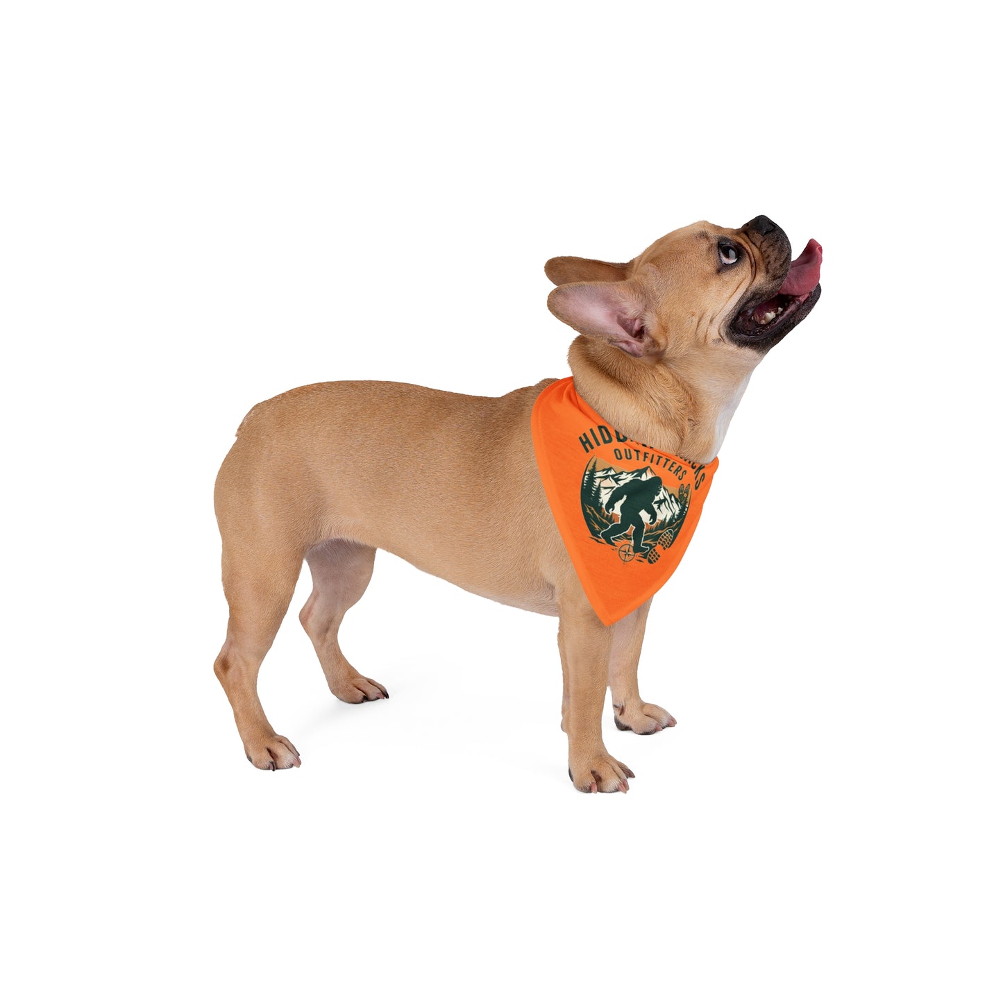 Orange Pet Bandana