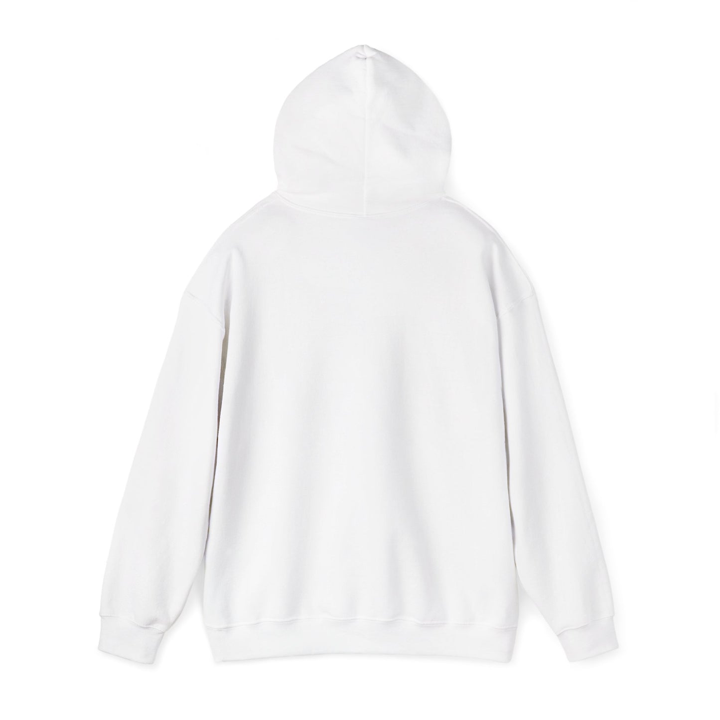 Hidden Tracks Hoodie