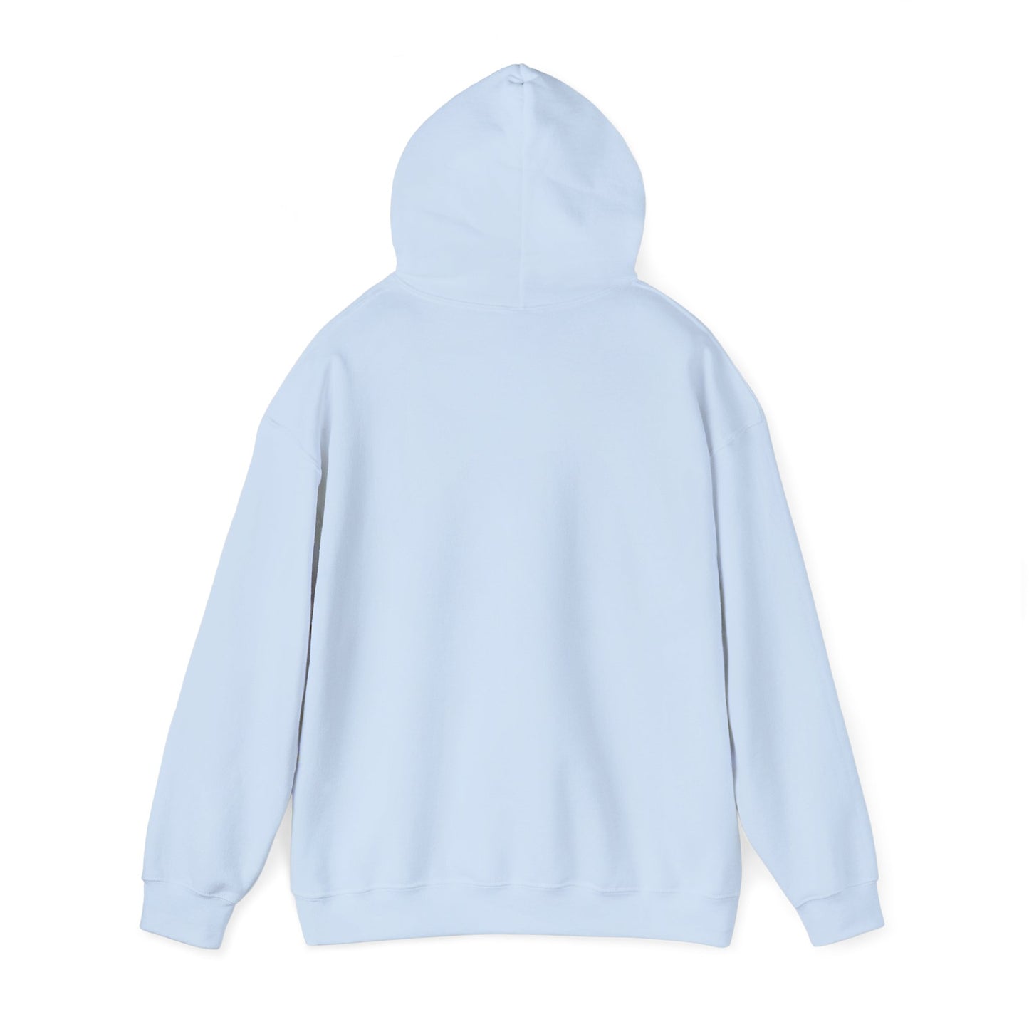 Hidden Tracks Hoodie