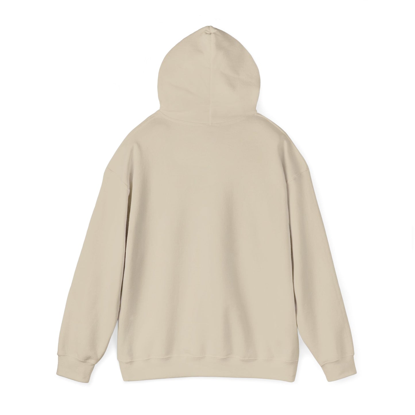 Hidden Tracks Hoodie
