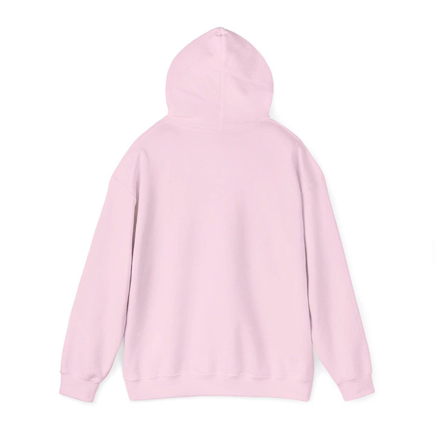 Hidden Tracks Hoodie